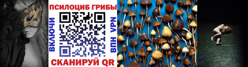 darknet наркотические препараты  Калининск  Галлюциногенные грибы Psilocybe  цены наркотик 
